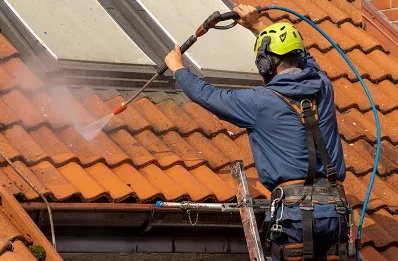 Démoussage et hydrofuge de toiture à Pralong